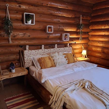 Cabana Rustic Balea Кырцишоара Экстерьер фото