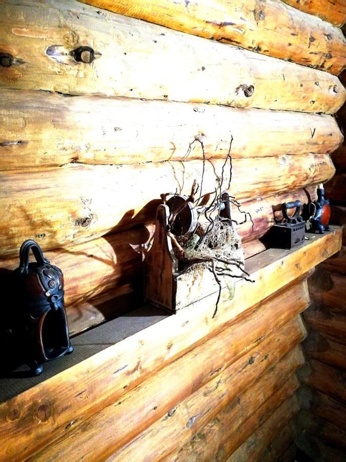 Cabana Rustic Balea Кырцишоара Экстерьер фото
