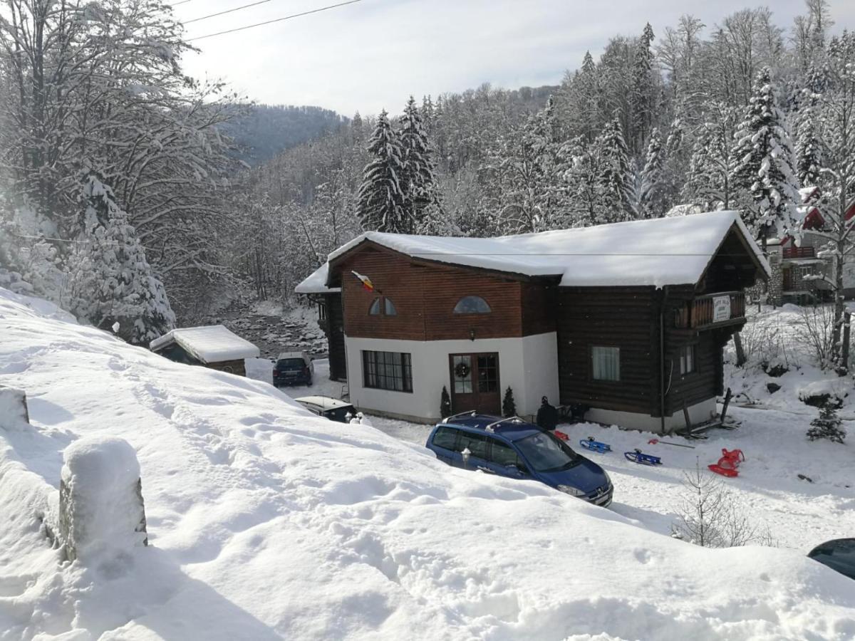 Cabana Rustic Balea Кырцишоара Экстерьер фото
