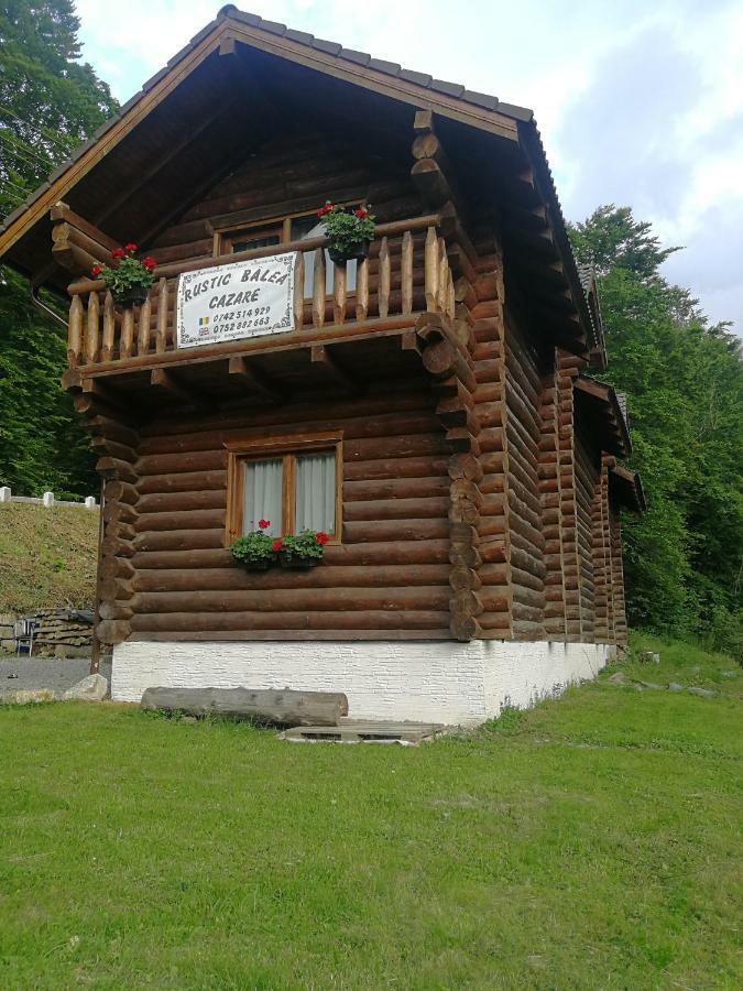 Cabana Rustic Balea Кырцишоара Экстерьер фото