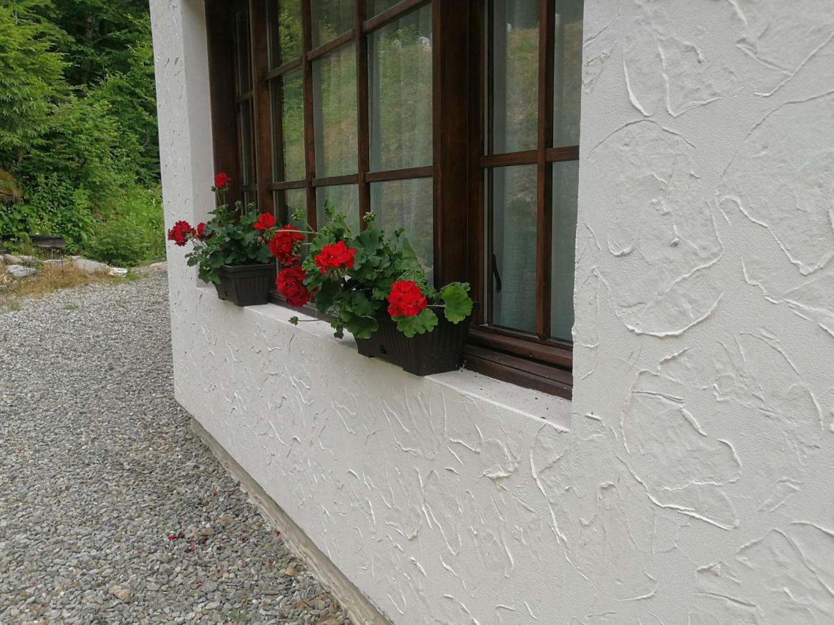 Cabana Rustic Balea Кырцишоара Экстерьер фото