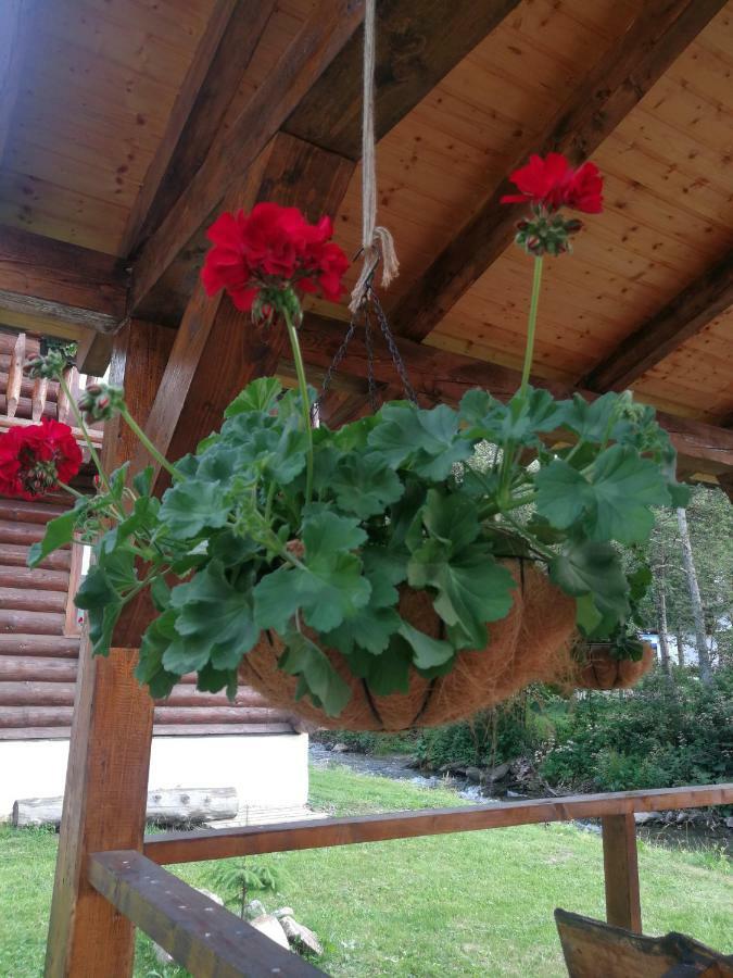 Cabana Rustic Balea Кырцишоара Экстерьер фото