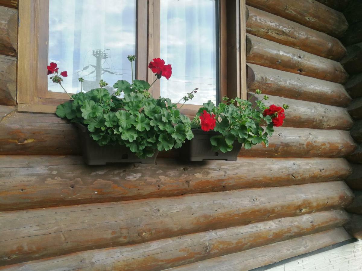 Cabana Rustic Balea Кырцишоара Экстерьер фото